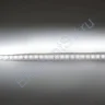Светодиодная лента LUX class, 3528, 120 led/m, White, 12V, IP20 - фото 3.