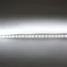 Светодиодная лента LUX class, 3528, 120 led/m, White, 12V, IP20 - фото III
