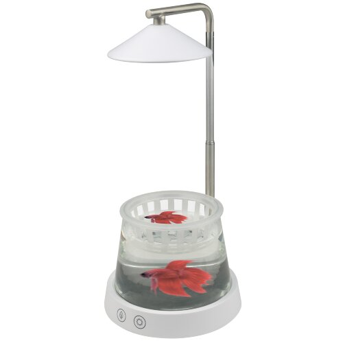 ULT-P36-3W-4000K+SPSB IP40 WHITE Светильник для растений светодиодный, с подставкой и декоративной емкостью, Белый свет4000K + cпектр для рассады и цветения, TM Uniel - фото 6