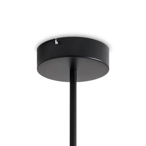 Потолочный светильник Freya FR6178CL-L30B (Черный) - фото 3