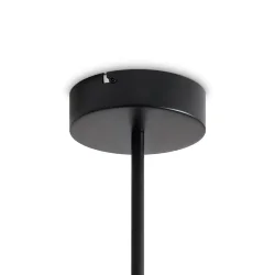 Потолочный светильник Freya FR6178CL-L30B (Черный)