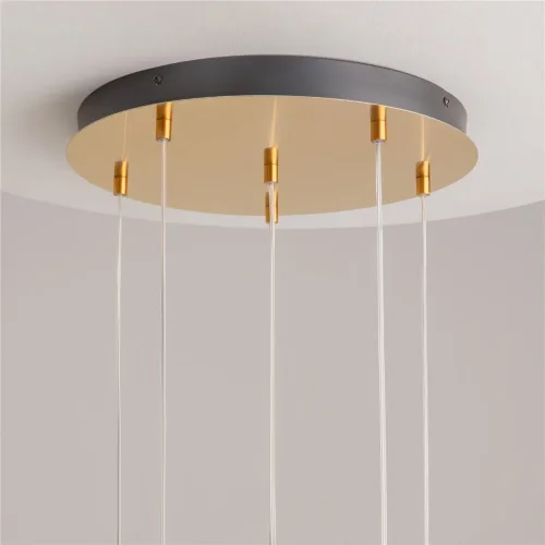 Подвесной светильник Biology 3000К 18Вт (Латунь) - фото 13