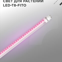 Лампа светодиодная LED-T8-ФИТО 10Вт 230В G13 600мм IN HOME