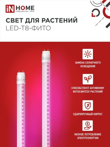 Лампа светодиодная LED-T8-ФИТО 10Вт 230В G13 600мм IN HOME - Фото 4
