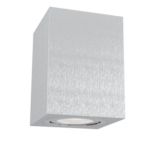 Потолочный светильник Alfa 1x50Вт GU10 (Серебро) - фото