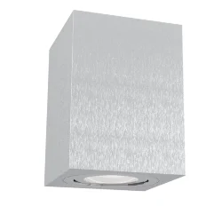 Потолочный светильник Alfa 1x50Вт GU10 (Серебро)