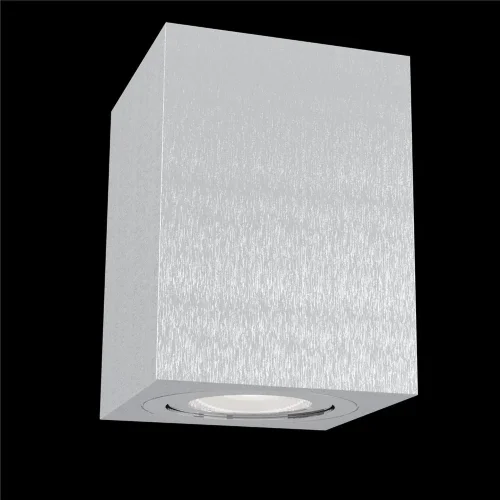 Потолочный светильник Alfa 1x50Вт GU10 (Серебро) - фото 2