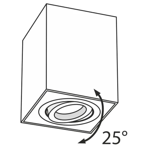 Потолочный светильник Alfa 1x50Вт GU10 (Серебро) - фото 3