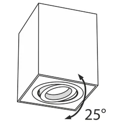 Потолочный светильник Alfa 1x50Вт GU10 (Серебро)