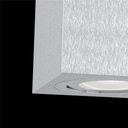 Потолочный светильник Alfa 1x50Вт GU10 (Серебро) - фото 6