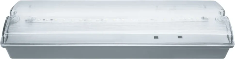 Светильник светодиодный 61 496 NEF-07 3Вт 150лм 176-264В IP65 акк. Ni-Cd 1000мА.ч 180 мин. аварийно-эвакуационный Navigator 61496 - фото