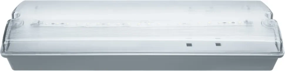 Светильник светодиодный 61 496 NEF-07 3Вт 150лм 176-264В IP65 акк. Ni-Cd 1000мА.ч 180 мин. аварийно-эвакуационный Navigator 61496 - фото