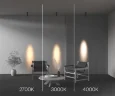 Потолочный светильник Фокус / FOCUS LED 12 Вт 4000 К 9° (Черный) C055CL-L12W4K-SS-B - фото 16