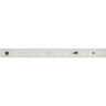 Светодиодная лента герметичная ARL-PV-C72-15.5mm 230V Cool 10K (14 W/m, IP65, 5630, 50m) (Arlight) - фото 2