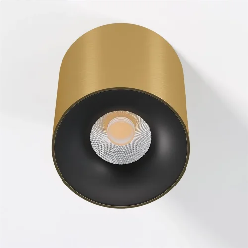 Светильник потолочный светодиодный Primo 12W 3000K латунь 25116/LED - фото 2