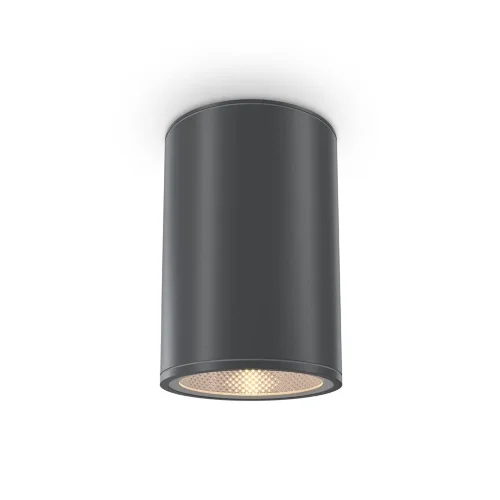 Потолочный светильник Бар / Bar 3000К 12Вт IP 65 (Графит) O306CL-L12GF - фото
