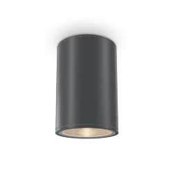 Потолочный светильник Бар / Bar 3000К 12Вт IP 65 (Графит) O306CL-L12GF