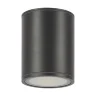 Потолочный светильник Бар / Bar 3000К 12Вт IP 65 (Графит) O306CL-L12GF - фото 2