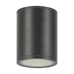 Потолочный светильник Бар / Bar 3000К 12Вт IP 65 (Графит) O306CL-L12GF