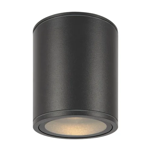 Потолочный светильник Бар / Bar 3000К 12Вт IP 65 (Графит) O306CL-L12GF - фото 4