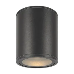 Потолочный светильник Бар / Bar 3000К 12Вт IP 65 (Графит) O306CL-L12GF