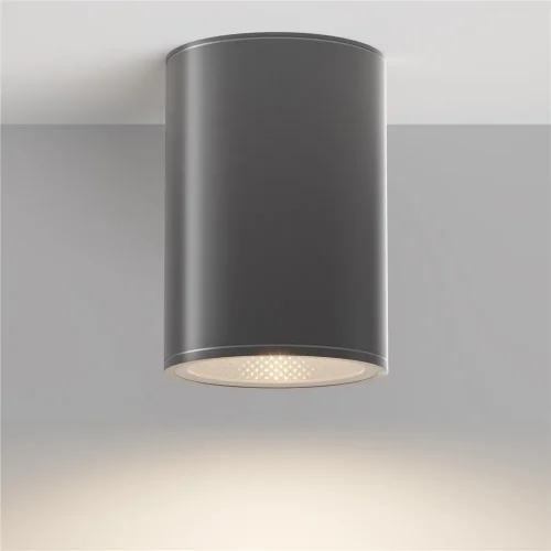 Потолочный светильник Бар / Bar 3000К 12Вт IP 65 (Графит) O306CL-L12GF - фото 6