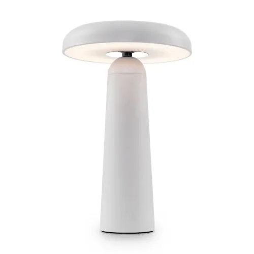 Аккумуляторный светильник Гриб / Mushroom (Белый) FR6109TL-L4W - фото 2