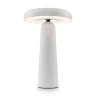 Аккумуляторный светильник Гриб / Mushroom (Белый) FR6109TL-L4W - фото 2