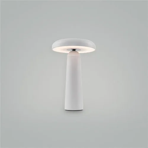 Аккумуляторный светильник Гриб / Mushroom (Белый) FR6109TL-L4W - фото 10