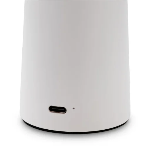 Аккумуляторный светильник Гриб / Mushroom (Белый) FR6109TL-L4W - фото 15