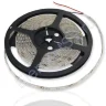 Светодиодная лента Standart class, 3528, 60led/m, Blue, 12V, IP65 - фото.