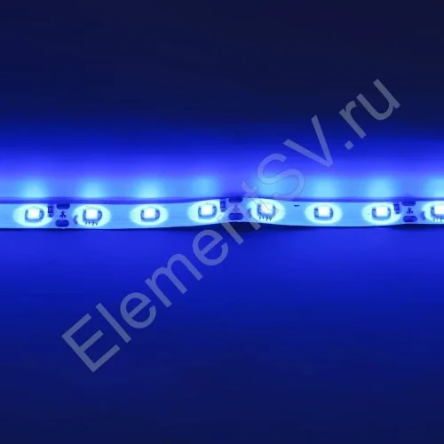 Светодиодная лента Standart class, 3528, 60led/m, Blue, 12V, IP65 - фото 3.