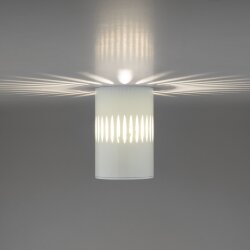 Накладной точечный светильник с подсветкой DLS026