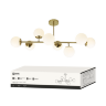 Люстра под лампу AURORA LUNA-8G9-LT 8xG9 матовые плафоны, латунный корпус IN HOME - Фото