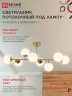 Люстра под лампу AURORA LUNA-8G9-LT 8xG9 матовые плафоны, латунный корпус IN HOME - Фото 4
