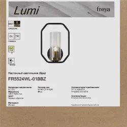 Настенный светильник (бра) FR5524WL-01BBZ Люми / Lumi E27x1 (Черный и Бронза) FR5524WL-01BBZ
