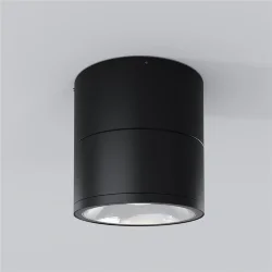 Потолочный светильник Spin 3000К 12Вт IP 54 (Графит)