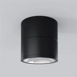 Потолочный светильник Спин / Spin 3000К 12Вт IP 54 (Графит) O310CL-L12GF3K