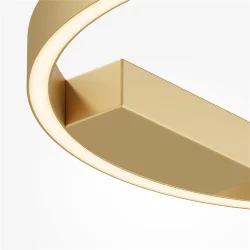 Потолочный светильник Rim 2600-3500К 24Вт (Латунь)