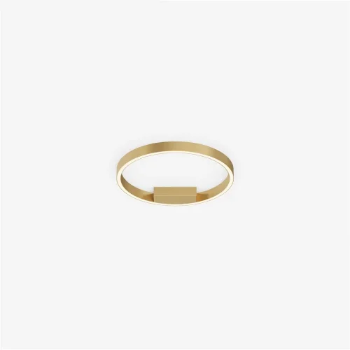 Потолочный светильник Рим / Rim 2600-3500К 24Вт (Латунь) MOD058CL-L25BSK - фото 3