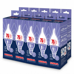 LED-CW37-9W-6500K-E14-FR-NR SET10 Лампа светодиодная, Форма свеча на ветру, матовая, Серия Norma, Дневной белый свет 6500K, Упаковка 10 штук