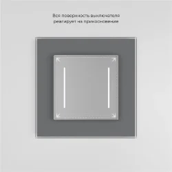 Умный сенсорный выключатель двухклавишный серебряный W4523006