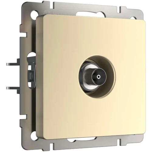 ТВ-розетка оконечная (шампань) W1183011 - фото