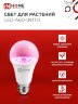Лампа светодиодная LED-A60 STD-ФИТО красно-синий спектр 15Вт 230В Е27 IN HOME - Фото 2