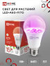 Лампа светодиодная LED-A60 STD-ФИТО красно-синий спектр 15Вт 230В Е27 IN HOME - Фото