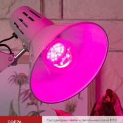 Лампа светодиодная LED-A60 STD-ФИТО красно-синий спектр 15Вт 230В Е27 IN HOME