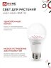 Лампа светодиодная LED-A60 STD-ФИТО красно-синий спектр 15Вт 230В Е27 IN HOME - Фото 7