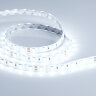 Светодиодная лента RTW 2-5000SE 24V Cool 2x (5060, 300 LED, LUX) (Arlight, 14.4 Вт/м, IP65) - фото 3