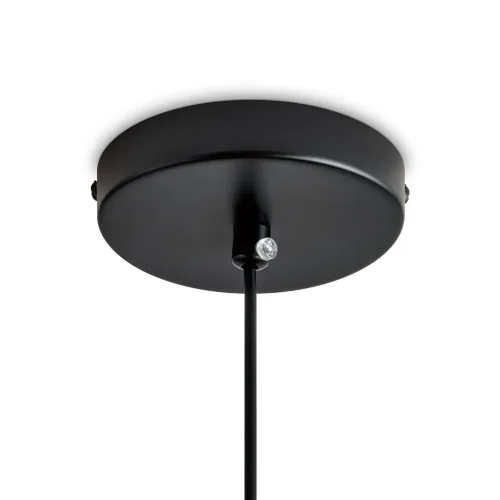 Подвесной светильник Лотос / Lotus (Черный) FR5551PL-01RG - фото 13