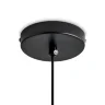 Подвесной светильник Лотос / Lotus (Черный) FR5551PL-01RG - фото 13